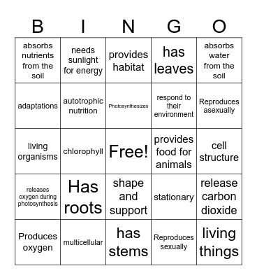 plant characteristics bingo Card