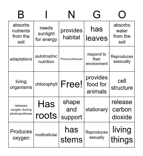 plant characteristics bingo Card
