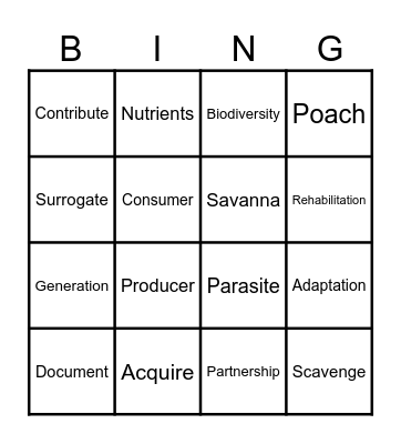Vocabulary Bingo Card