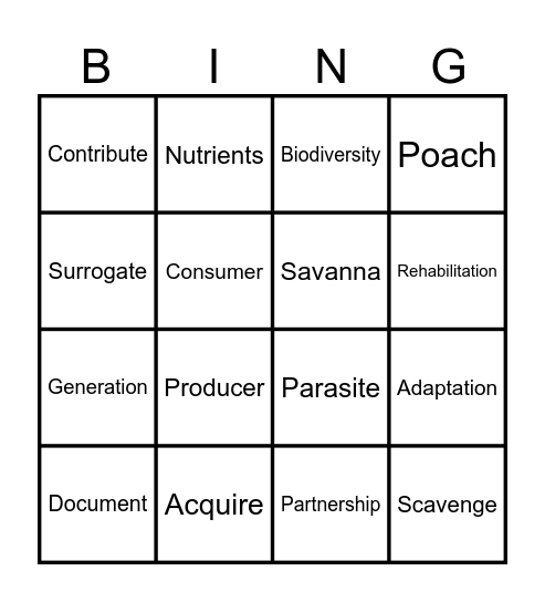 Vocabulary Bingo Card
