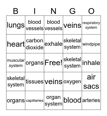 Science Trivia Bingo Card