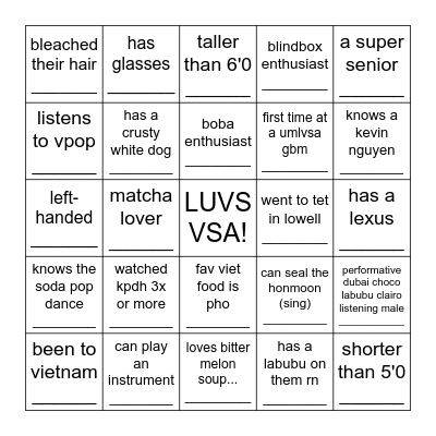 VSA ICEBREAKER BINGO!!! Bingo Card