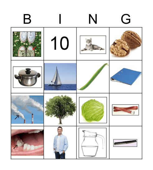 Lijst 1 Diglin Bingo Card