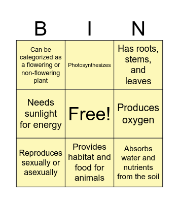 Plants Characteristics Bingo Card