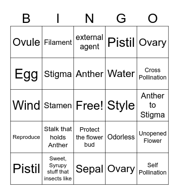 Flowering Plants Bingo Card