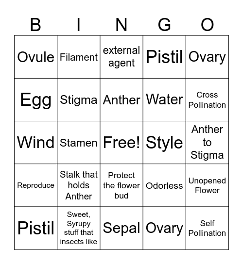 Flowering Plants Bingo Card
