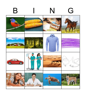 R Controlled Vowels Bingo Card