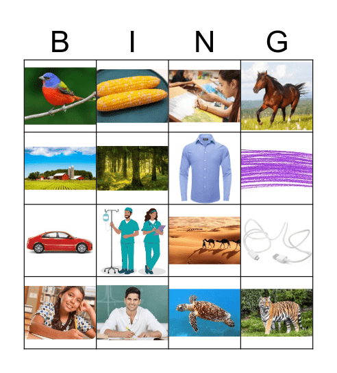 R Controlled Vowels Bingo Card