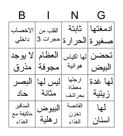 الطيور Bingo Card