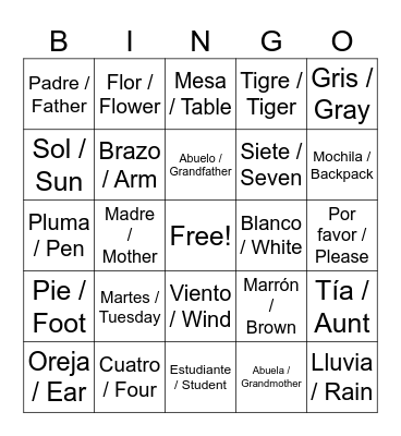 Spanish BINGO Card