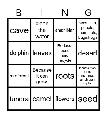 Science Review Bingo Card