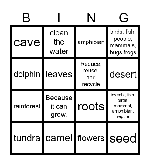 Science Review Bingo Card