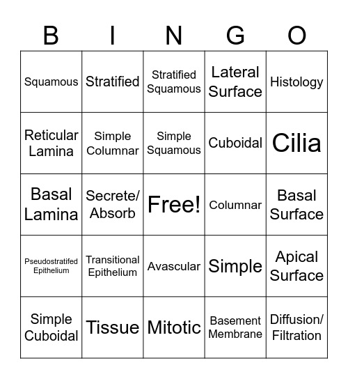 Epithelial Tissues  Bingo Card