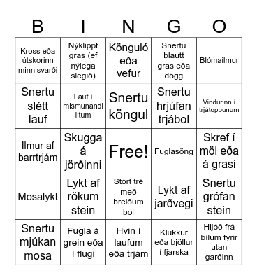 Hvað heyrið þið, sjáið, lyktið og snertið? Bingo Card