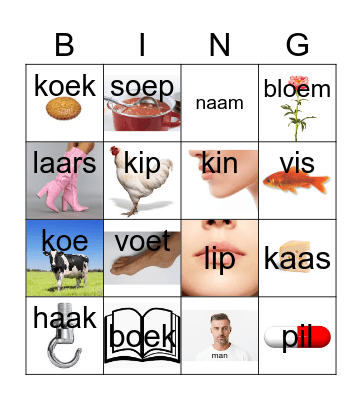 Diglin Lijst 2 Bingo Card