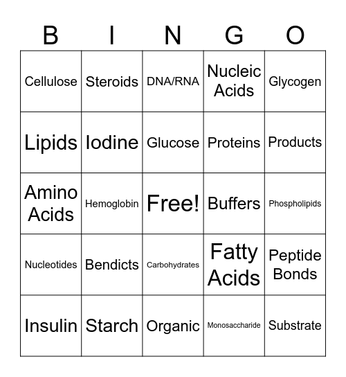 Unit 2 Organic Molecules Bingo Card