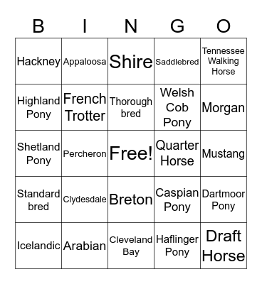 Horse and Pony Bingo Card