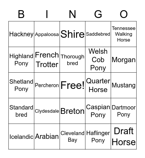 Horse and Pony Bingo Card