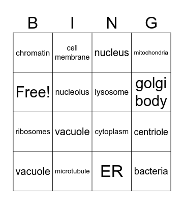 Cell Organelles! Bingo Card
