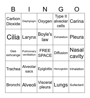 The Respiratory System Bingo Card