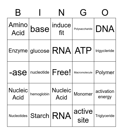 Macromolecule Bingo Card