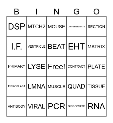 Lab Meeting Bingo Card