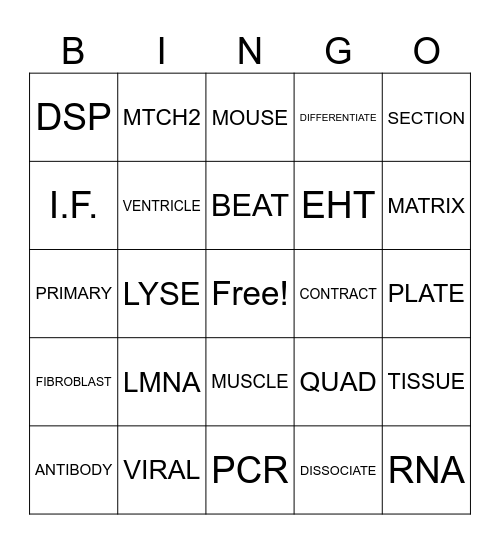 Lab Meeting Bingo Card