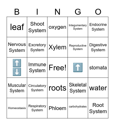 Body Systems Bingo Card