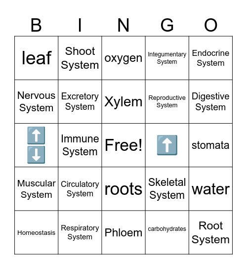 Body Systems Bingo Card