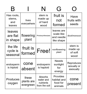 PLANT CLASSIFICATION Bingo Card