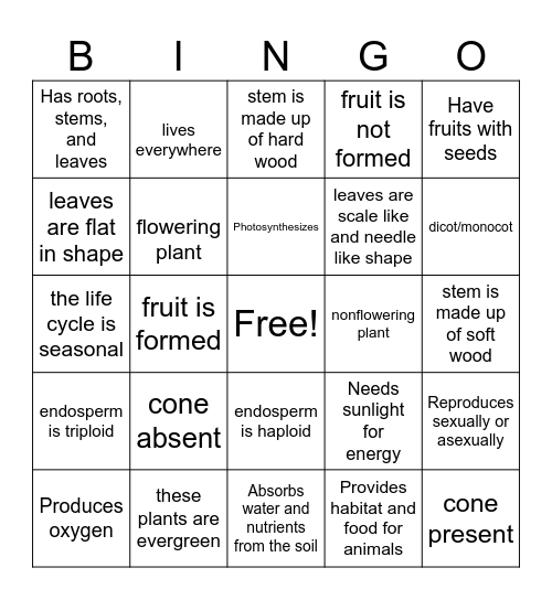 PLANT CLASSIFICATION Bingo Card
