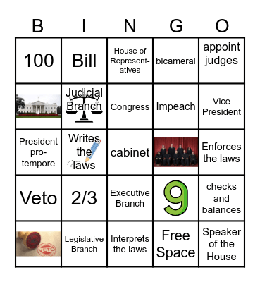 Three Branches of Government Bingo Card