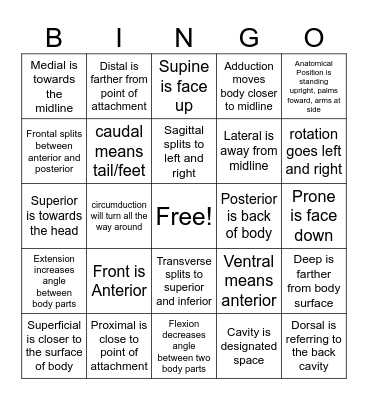 Anatomical Reference Bingo Card