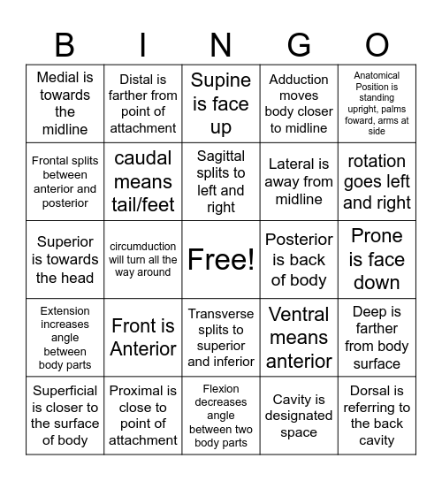 Anatomical Reference Bingo Card