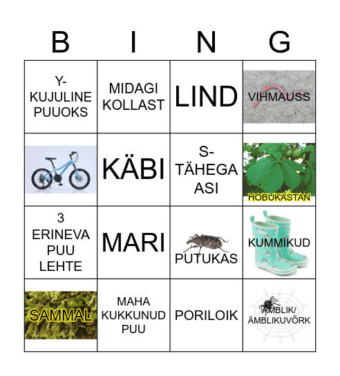 SÜGISBINGO Card