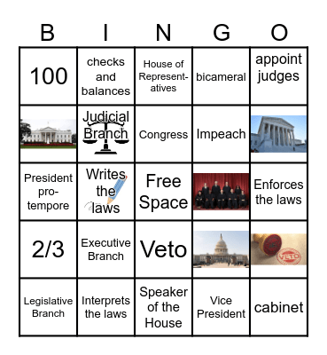 Three Branches of Government Bingo Card