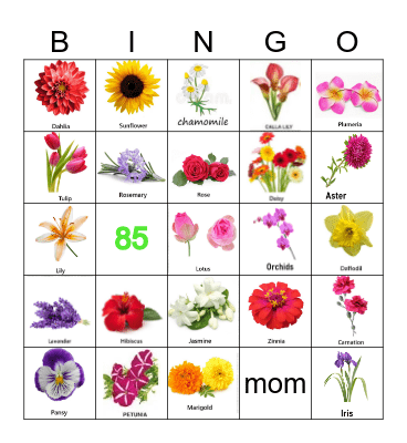 FLOWERS Bingo Card