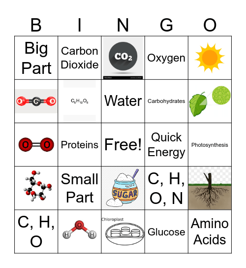 Organic vs Inorganic Bingo Card