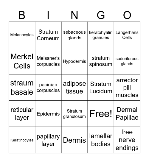 Skin Anatomy Bingo Card