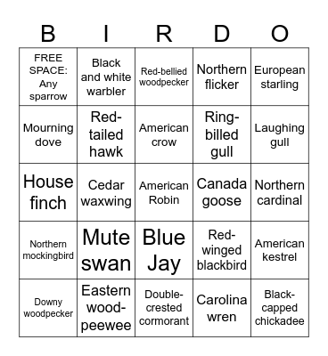 Cole's Bird Bingo Card