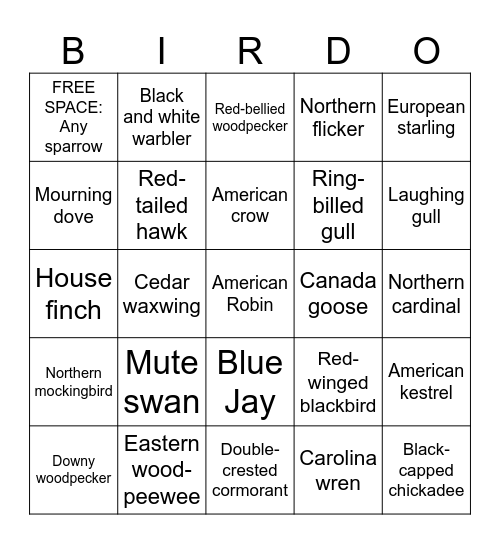 Cole’s Bird Bingo Card