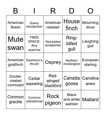 BIRDO Bingo Card