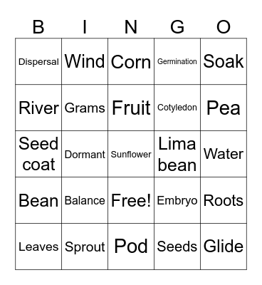 Structures of Life: Seeds Bingo Card
