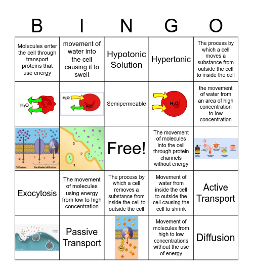 Active & Passive Transport Bingo Card