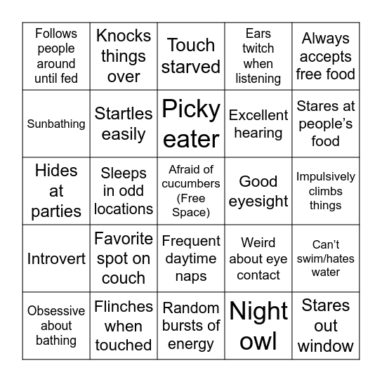 REAL Kitty Sub Bingo Card