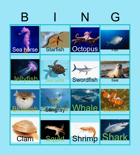 Marine animals Bingo Card