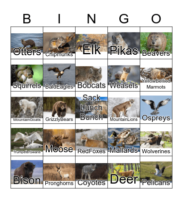 Yellowstone Wildlife Bingo Card