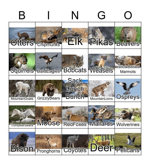 Yellowstone Wildlife Bingo Card
