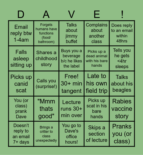 DAVE-isms Bingo Card