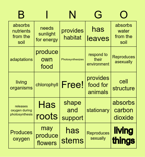 plant characteristics bingo Card